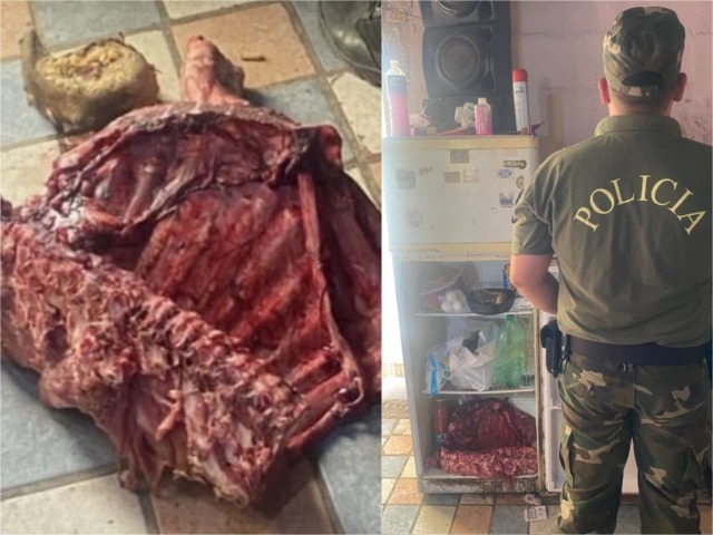 Secuestraron carne en un allanamiento por abigeato